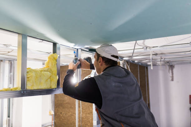 Best Spray Foam Insulation  in La Vista, NE
