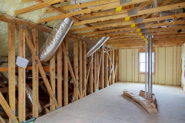 Best Insulation Inspection Services  in La Vista, NE