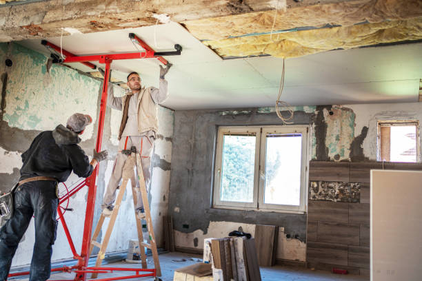Best Insulation Repair Services  in La Vista, NE