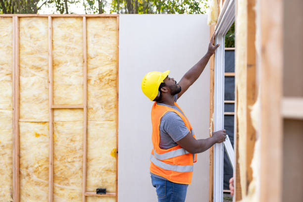 Best Garage Insulation Installation  in La Vista, NE
