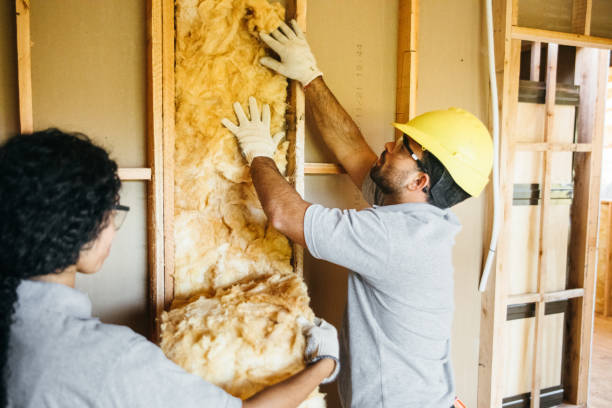 Professional Insulation Contractor in La Vista, NE