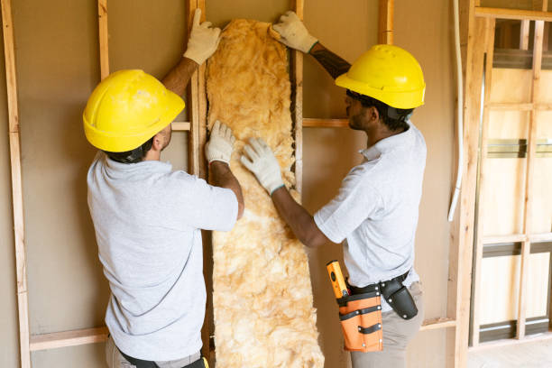  La Vista, NE Insulation Contractor Pros