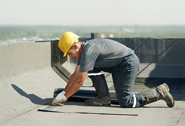 Best Commercial Insulation Contractor  in La Vista, NE