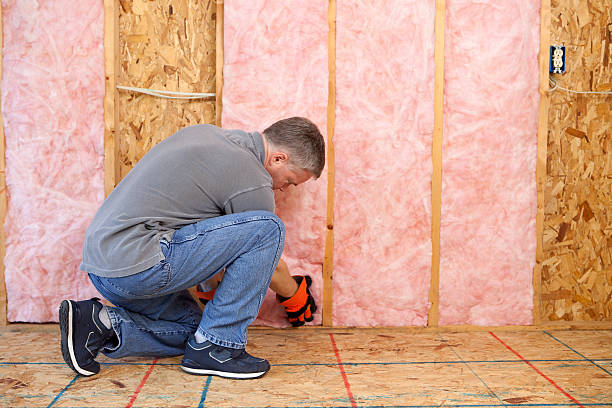 Best Soundproof Insulation Installation  in La Vista, NE