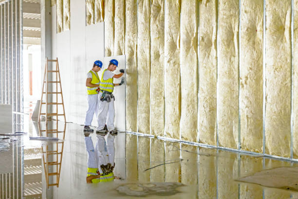 Best Residential Insulation Services  in La Vista, NE